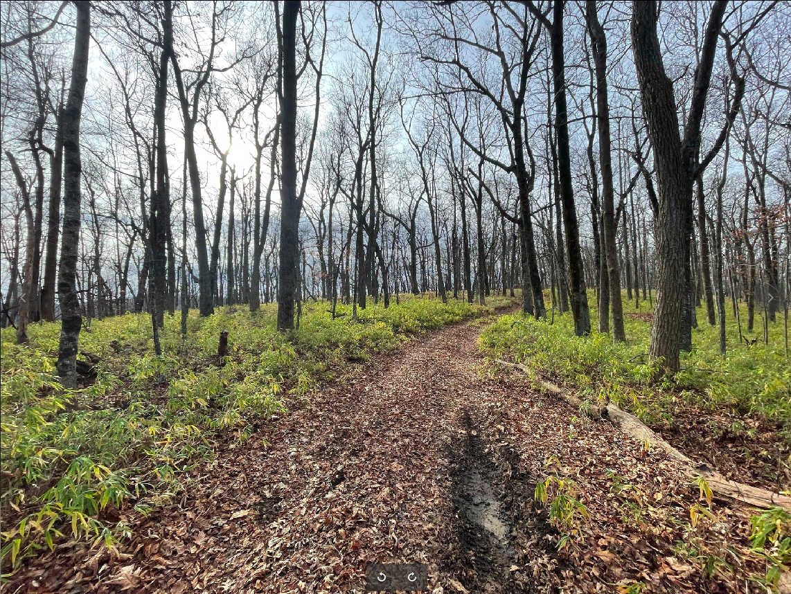 Beautiful spot in a WMA in North GA.