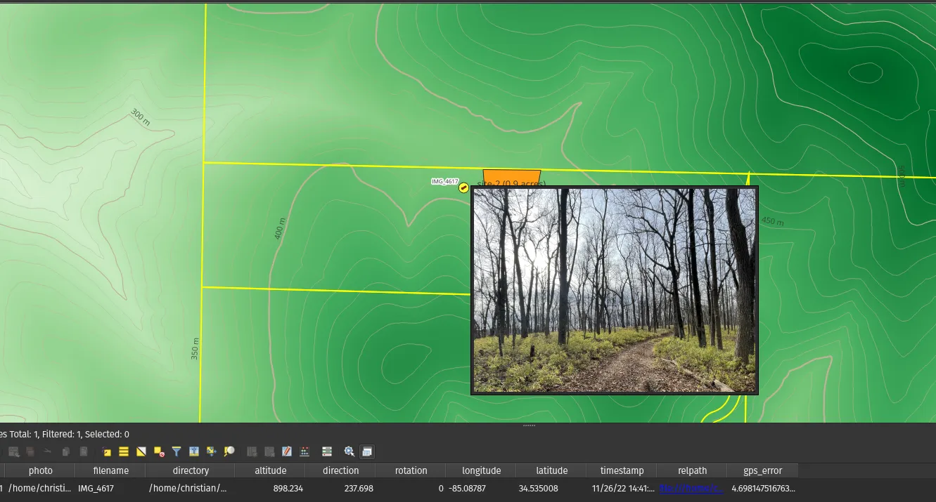 image-20230124125806118