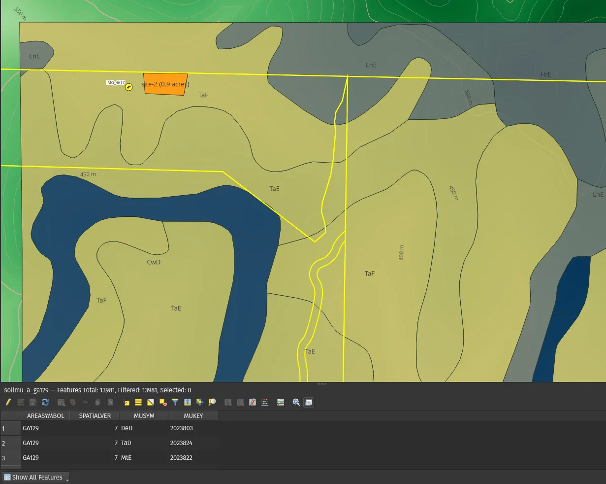 image-20230124175539666