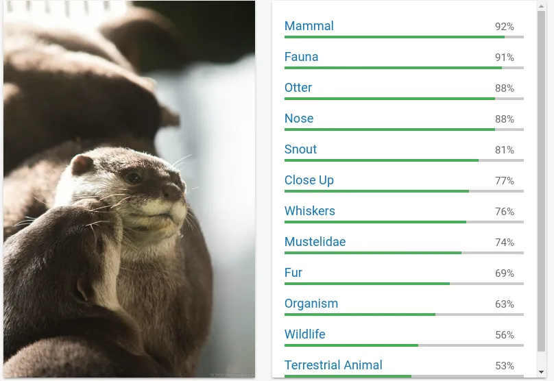 Cloud Vision Example 2