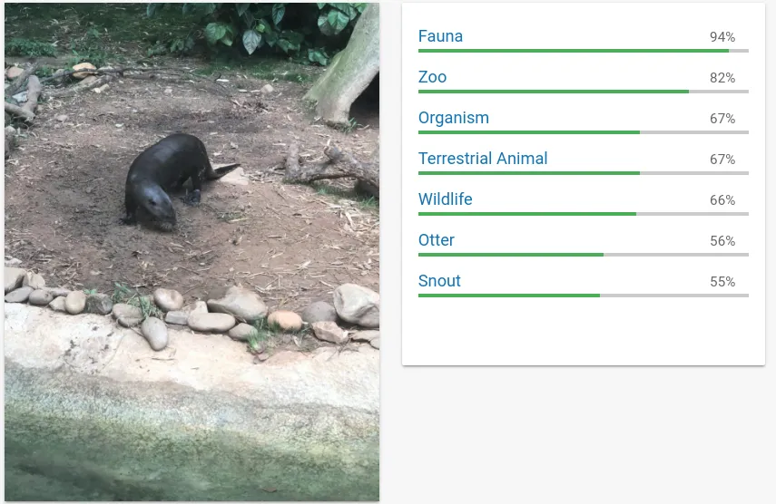 Cloud Vision Example 1