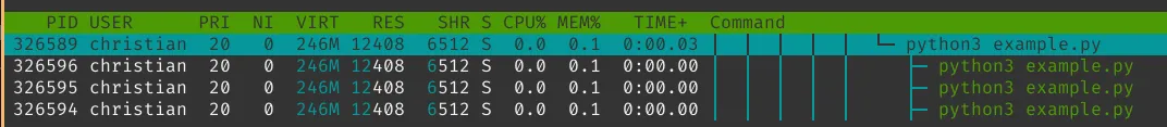 python-htop1.png
