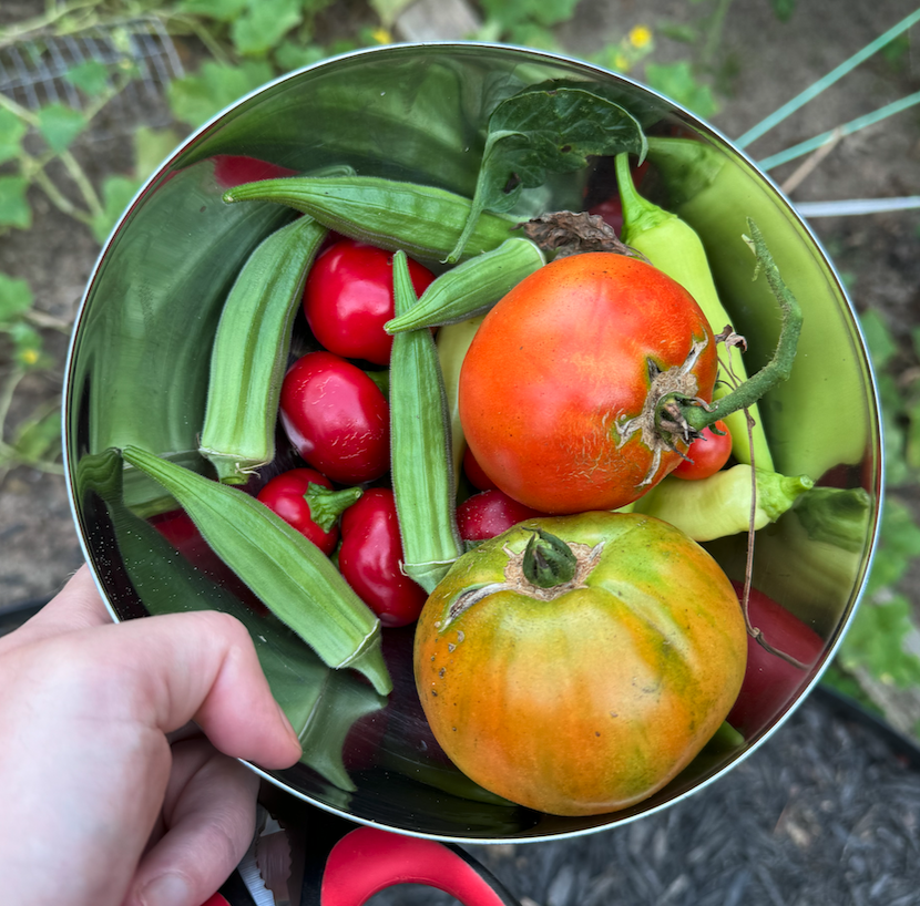 For those unfamiliar: Outdoors! (Sample image from our garden)